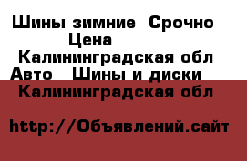 Шины зимние! Срочно! › Цена ­ 2 500 - Калининградская обл. Авто » Шины и диски   . Калининградская обл.